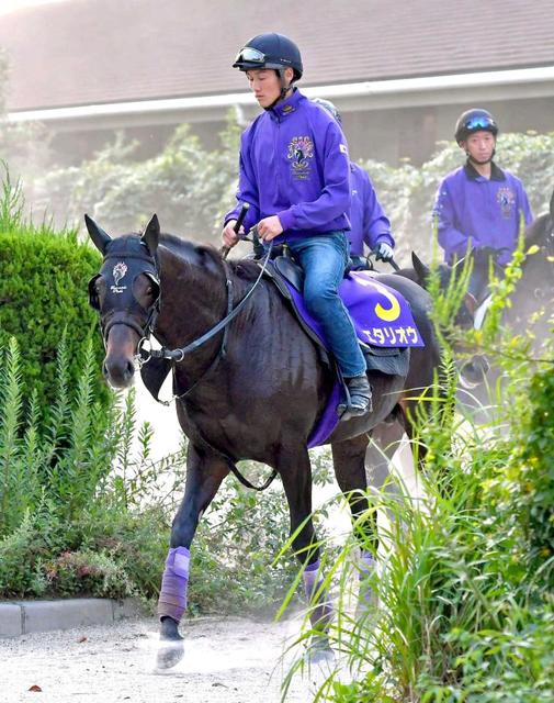 【菊花賞】エタリオウ進化 1勝馬初の菊制覇へ手応え