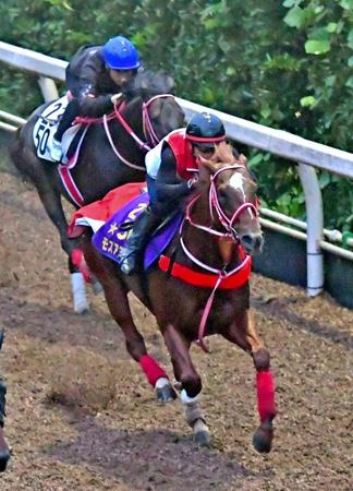 　大きく先着したモズアスコット（手前）