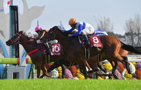 久々の重賞Ｖを飾ったロードクエスト（右）＝京都競馬場（撮影・石湯恒介）