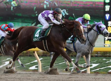 　力強く突き抜けるサンライズノヴァ（手前）