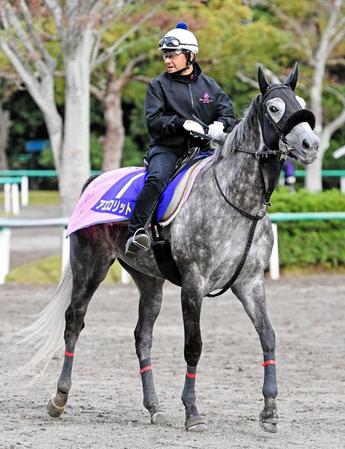 　牡馬撃破で２つ目の勲章を狙うアエロリット