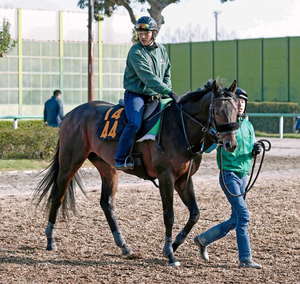 　無傷２連勝での重賞Ｖを狙うルヴォルグ