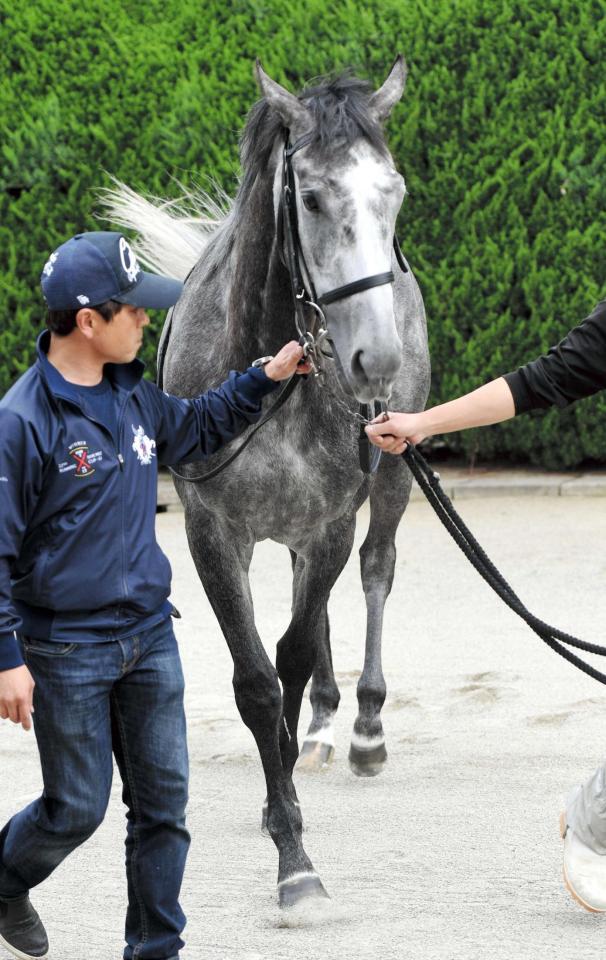 　１０年ぶりの牝馬Ｖを狙うアエロリット