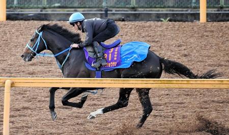 ã‚ªã‚¸ãƒ¥ã‚¦ãƒãƒ§ã‚¦ã‚µãƒ³å¸°åŽ©ã€Œé †èª¿ã«å›žå¾©ã€ æœ‰é¦¬ã¸ã¯éžä¸Šãƒ»æ­¦è±Šã®ã€Œè¿