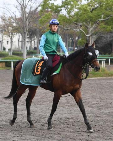 　東の名門・藤沢和厩舎が送り出す逸材ランフォザローゼス