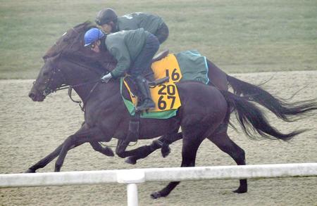 　霧の中、美浦Ｐ併せで追い切ったレイエンダ（手前）