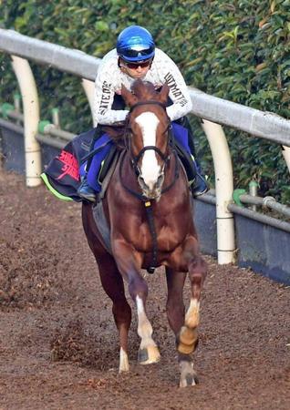 　福永を背に栗東坂路を駆け上がるケイティブレイブ