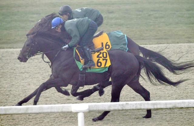 【チャレンジＣ】レイエンダ　サラッと併せ馬で先着　藤沢和師「いい体をしている」