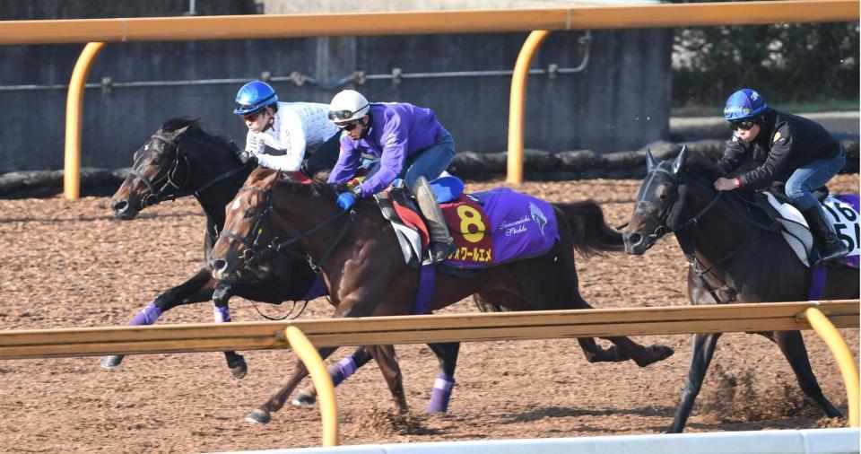 栗東ＣＷで３頭併せで追い切るビーチサンバ（左）