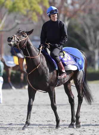 種牡馬となるサトノクラウン