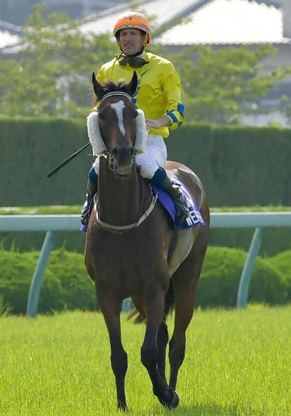 　宝塚記念で２着だったワーザー