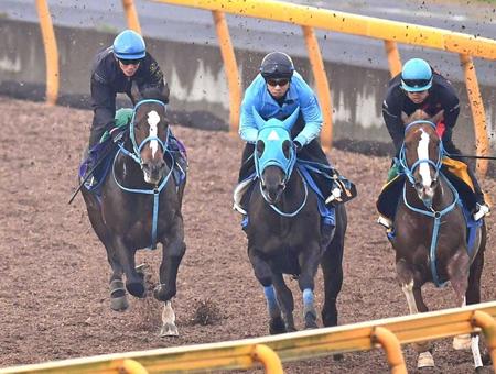 　久々に３頭併せを行ったオジュウチョウサン（左）＝撮影・園田高夫