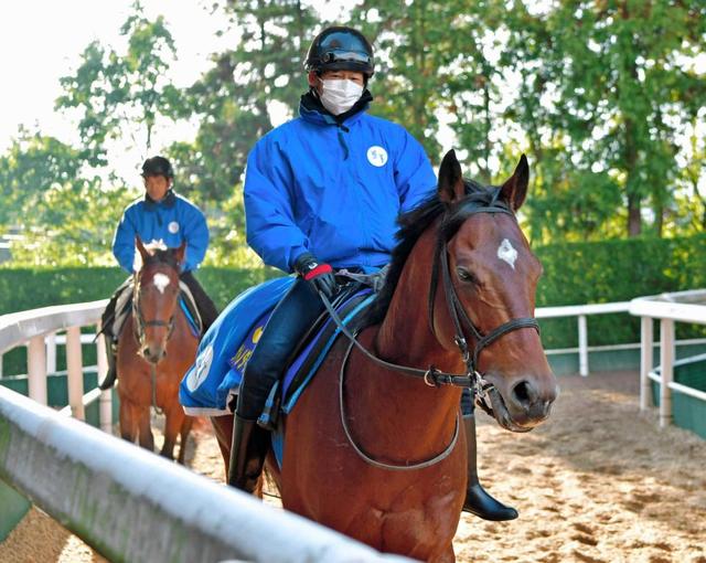 【有馬記念】サトノダイヤモンド奇跡信じる　重ねる“オグリ伝説ラストランＶ”の姿