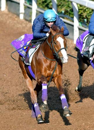 　ボウマンと久々にコンタクトを取ったシュヴァルグラン（撮影・石湯恒介）