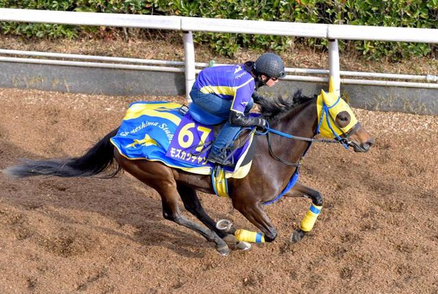 【有馬記念】上昇カーブ！モズカッチャン 動きパワフル　秋２戦目で上積み必至