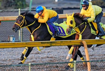 勝浦を背に美浦Ｗ併せで追い切ったニシノデイジー（左）＝美浦トレセン（撮影・三好信也）