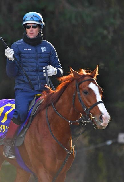 【有馬記念】シュヴァルグラン呪縛解く アンラッキー枠も開き直ってVつかむ