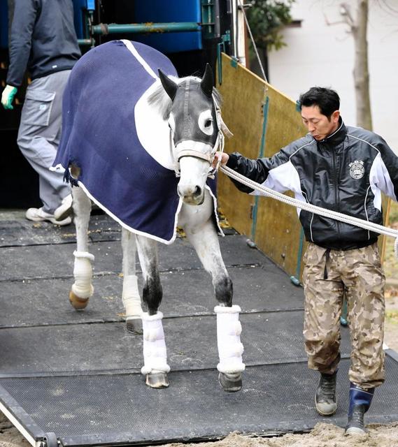 有馬記念】信じるか信じないかはアナタ次第－2018世相馬券/競馬