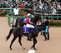 　５番人気で９着に終わったオジュウチョウサンと武豊騎手