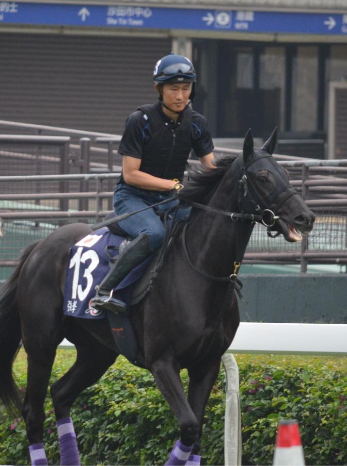 　引退が延期となったヴィブロス