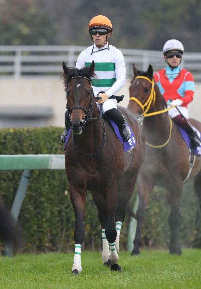 　５着に敗れたキセキと川田騎手