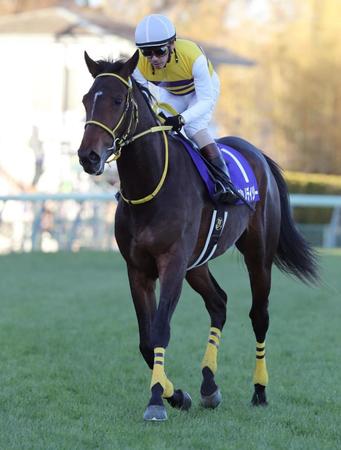 ３着に敗れたニシノデイジーと勝浦騎手
