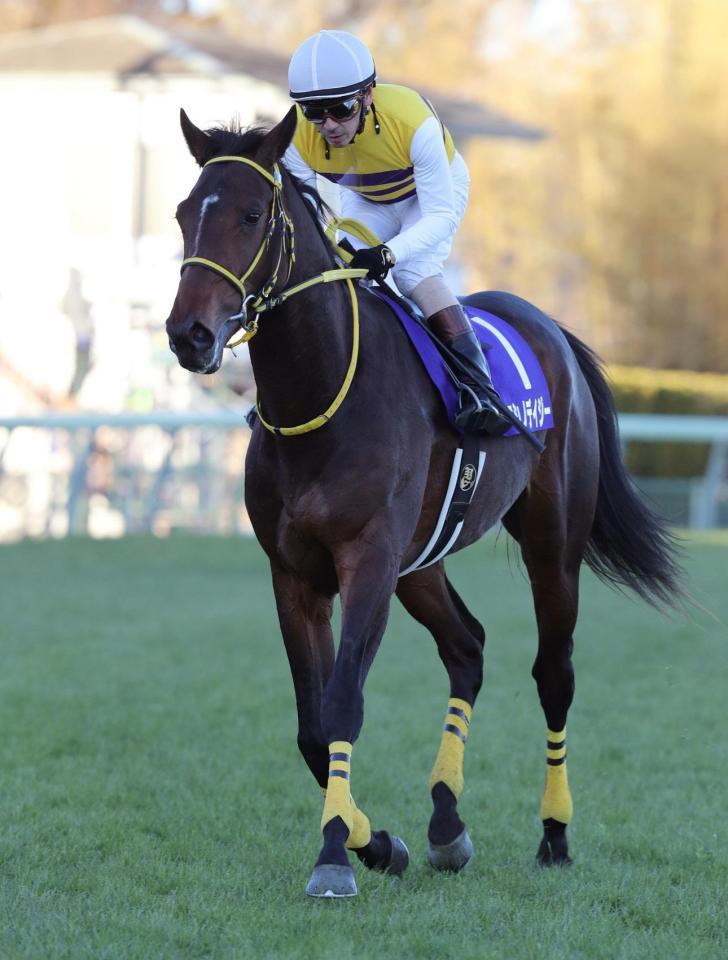 ３着に敗れたニシノデイジーと勝浦騎手
