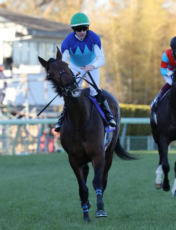 ２着に敗れたアドマイヤジャスタとルメール騎手