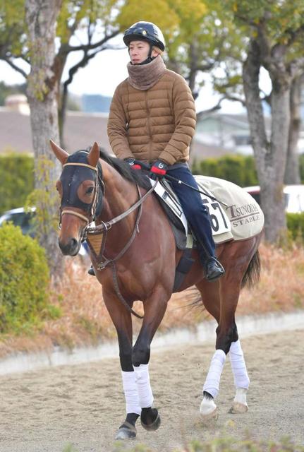 【日経新春杯】ムイトオブリガード混戦に断　角田師「元々走る馬なので期待」