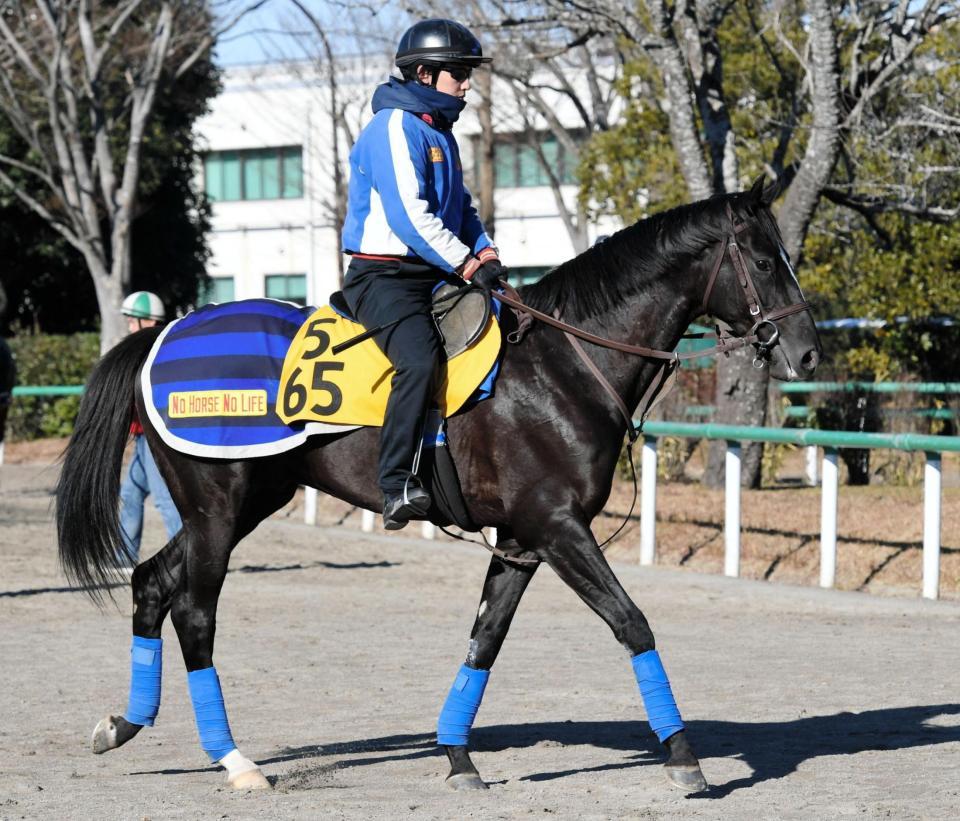 明け４歳馬グローリーヴェイズ