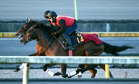 　美浦Ｗで好調をアピールするシークレットラン（手前）＝撮影・園田高夫