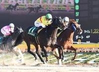 １１Ｒ・根岸ステークスを制したコパノキッキング（手前）＝東京競馬場（撮影・園田高夫）