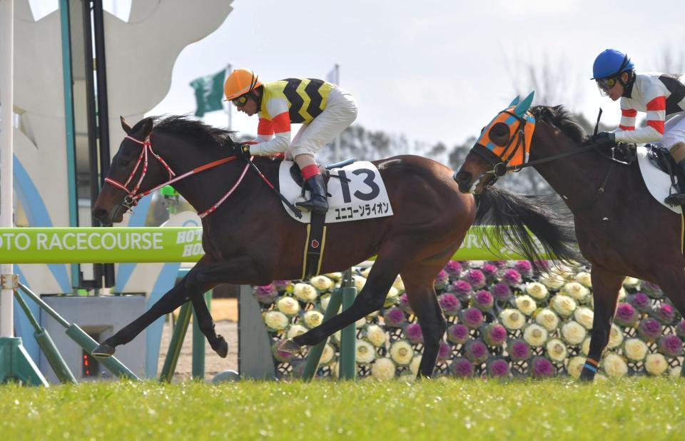 新馬戦を快勝したユニコーンライオン＝京都競馬場（撮影・石湯恒介）