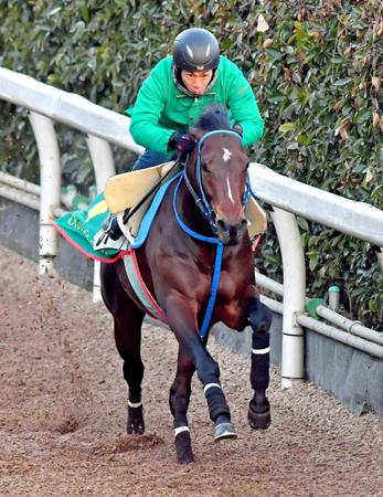 　栗東坂路で自己ベストをマークしたインディチャンプ（撮影・石湯恒介）