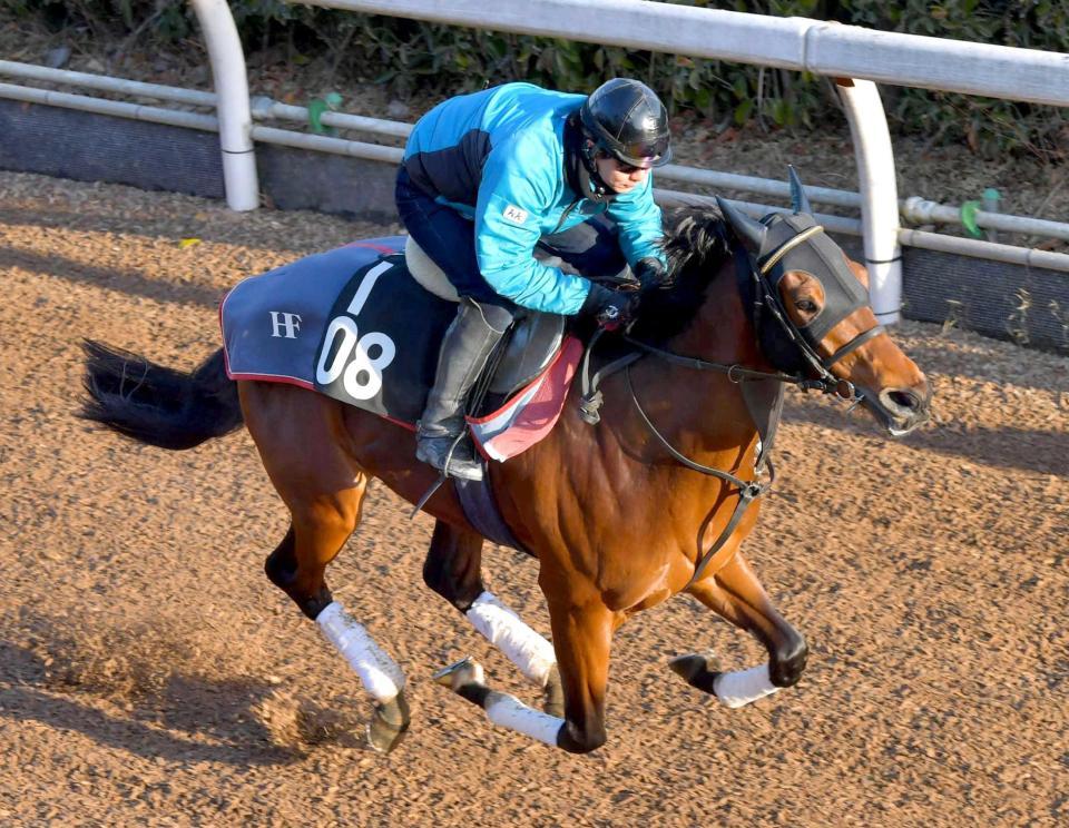 　栗東坂路で軽快な動きを見せたヴァンドギャルド（撮影・石湯恒介）　