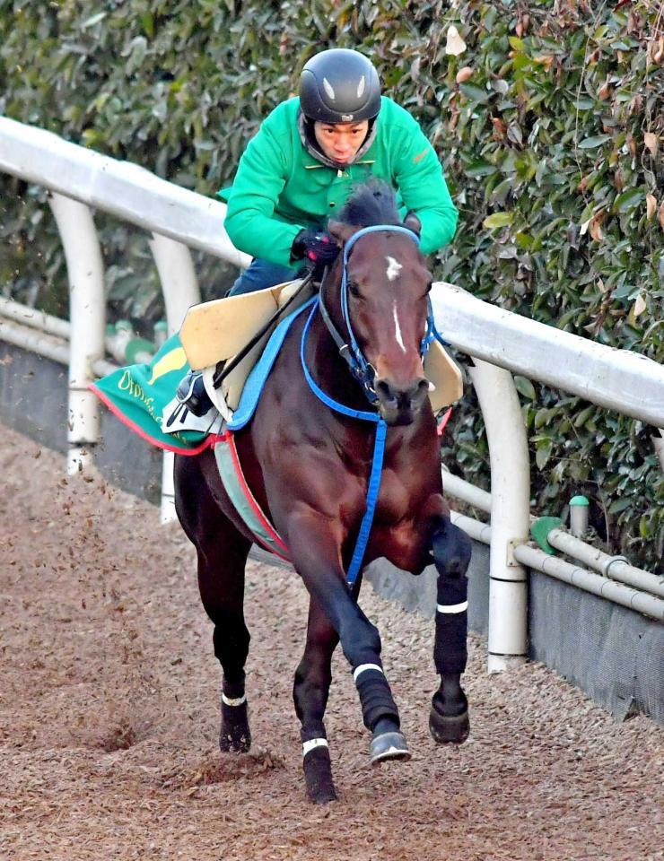 　栗東坂路で自己ベストをマークしたインディチャンプ（撮影・石湯恒介）