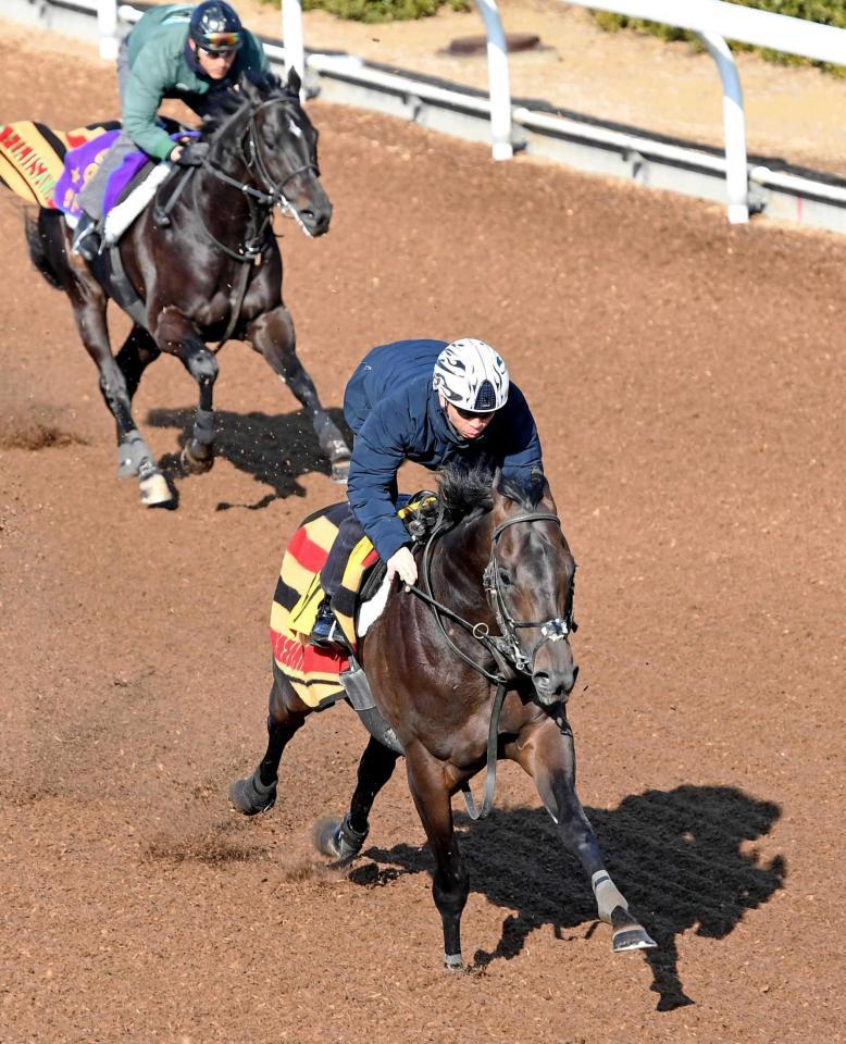 　美浦坂路で好仕上がりを見せたレイエンダ（手前）＝撮影・園田高夫