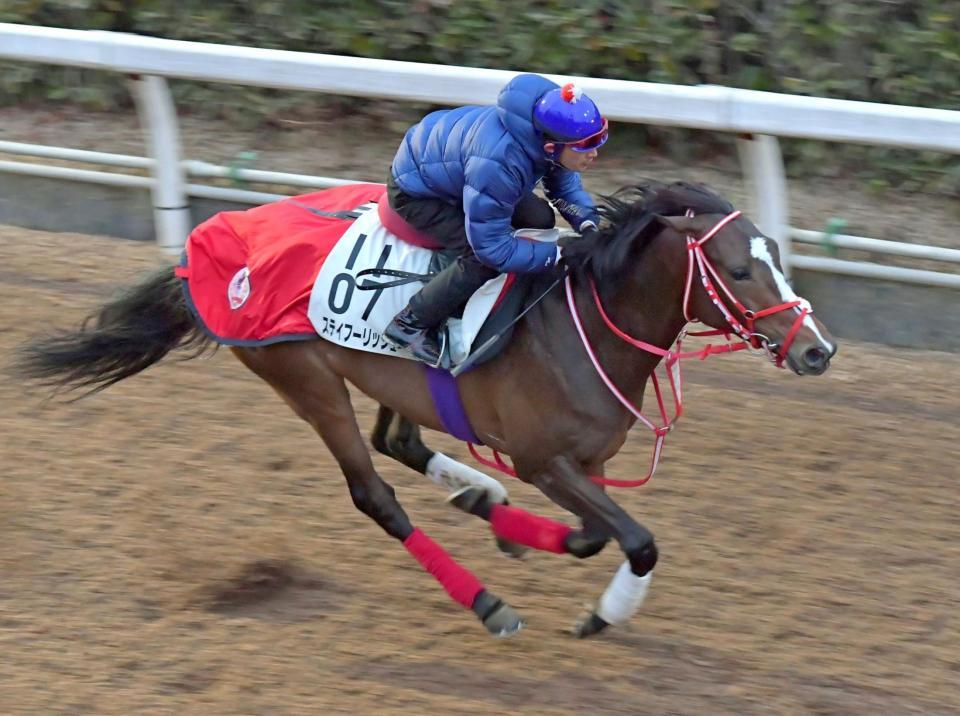 栗東坂路で追い切るステイフーリッシュ＝栗東トレセン（撮影・石湯恒介）