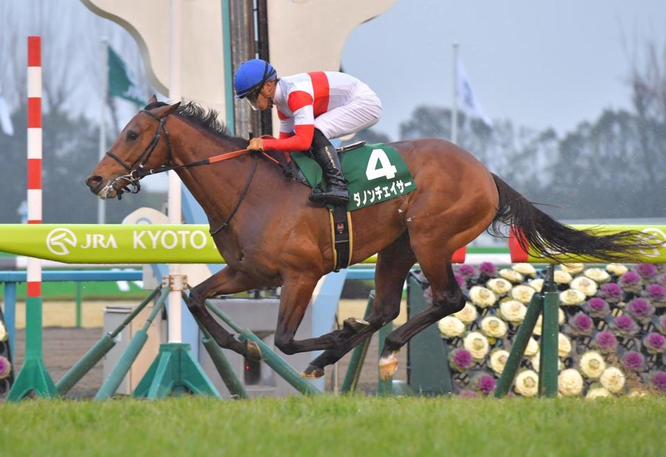 番手から抜け出し快勝したダノンチェイサー＝京都競馬場（撮影・石湯恒介）