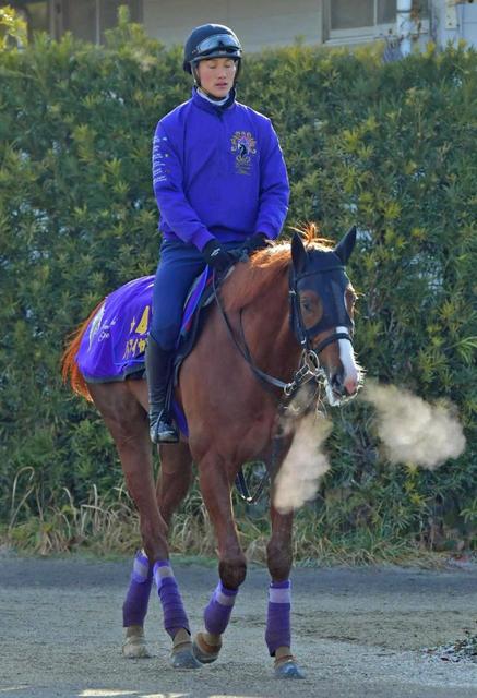 【共同通信杯】アドマイヤマーズいざ始動戦　友道師「いい成長している」