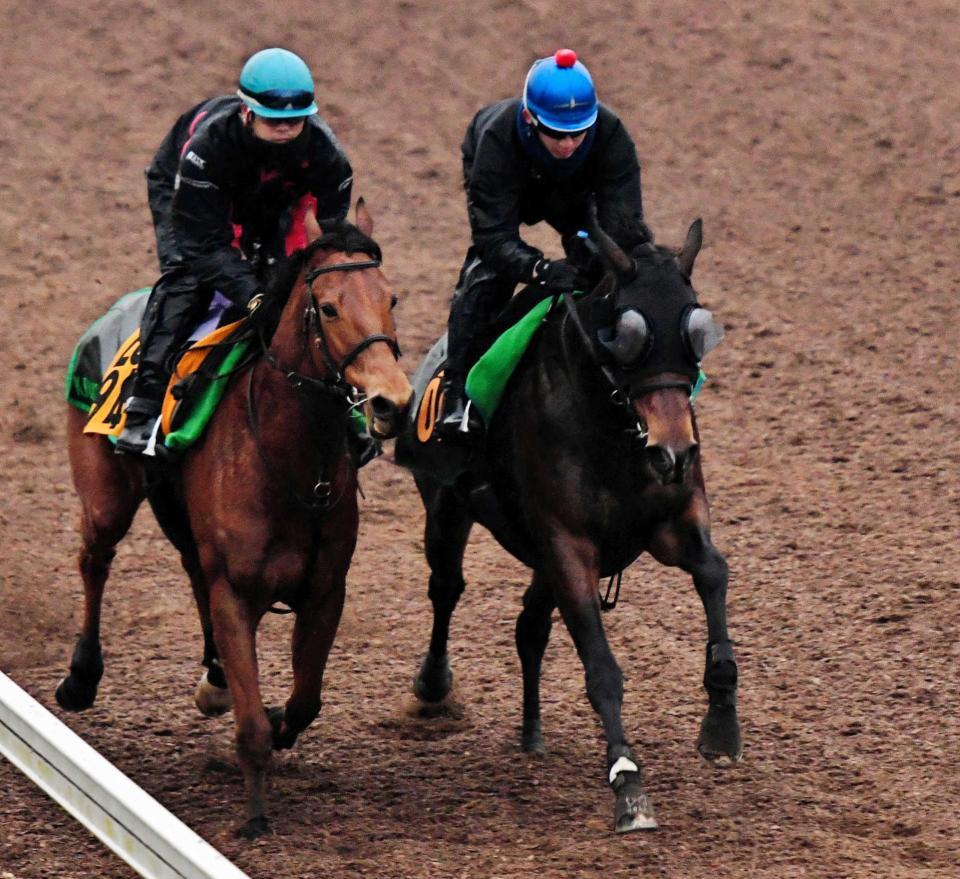 　美浦坂路で併せ馬を行ったミリオンドリームズ（右）＝撮影・三好信也