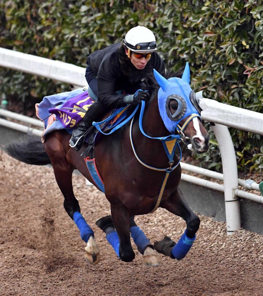 　和田を背にパワフルな脚さばきを見せたタイムフライヤー