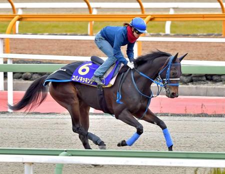 栗東Ｂで初めてコパノキッキングの感触を確かめた藤田菜七子（撮影・石湯恒介）　