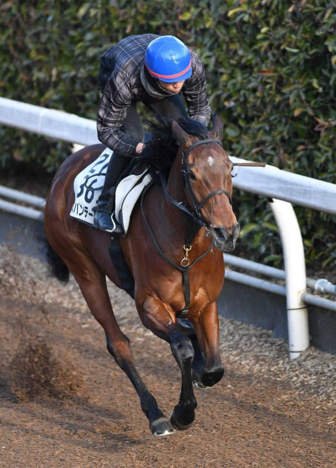 　好仕上がりをアピールするミスパンテール