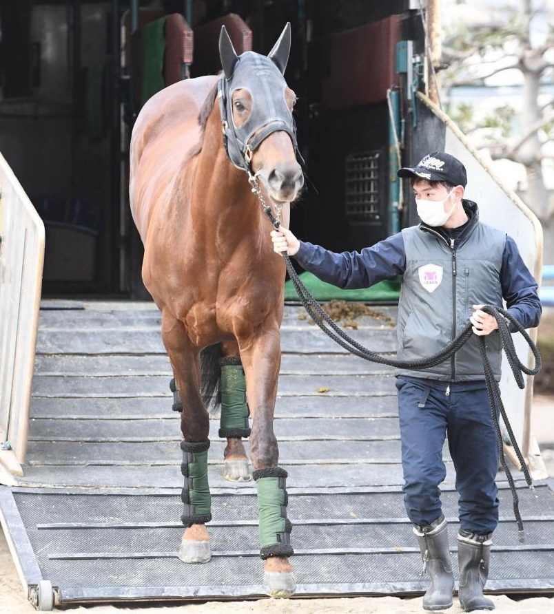 　東京に到着したモーニン