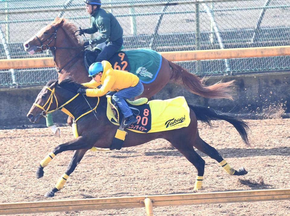 　美浦Ｗ単走で追い切ったニシノデイジー（手前）＝美浦トレセン（撮影・園田高夫）