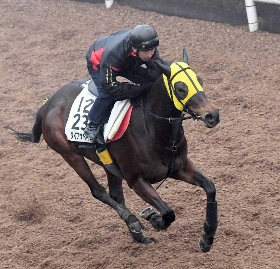 　軽快に駆け上がったダイアナヘイロー（撮影・佐藤厚）