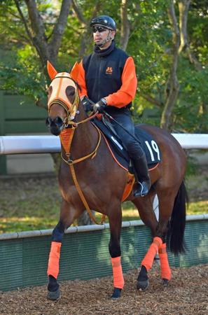 　重賞初制覇へ、好仕上がりをアピールするアウィルアウェイ