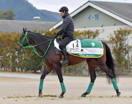 　重賞連勝を目指すエアウィンザー