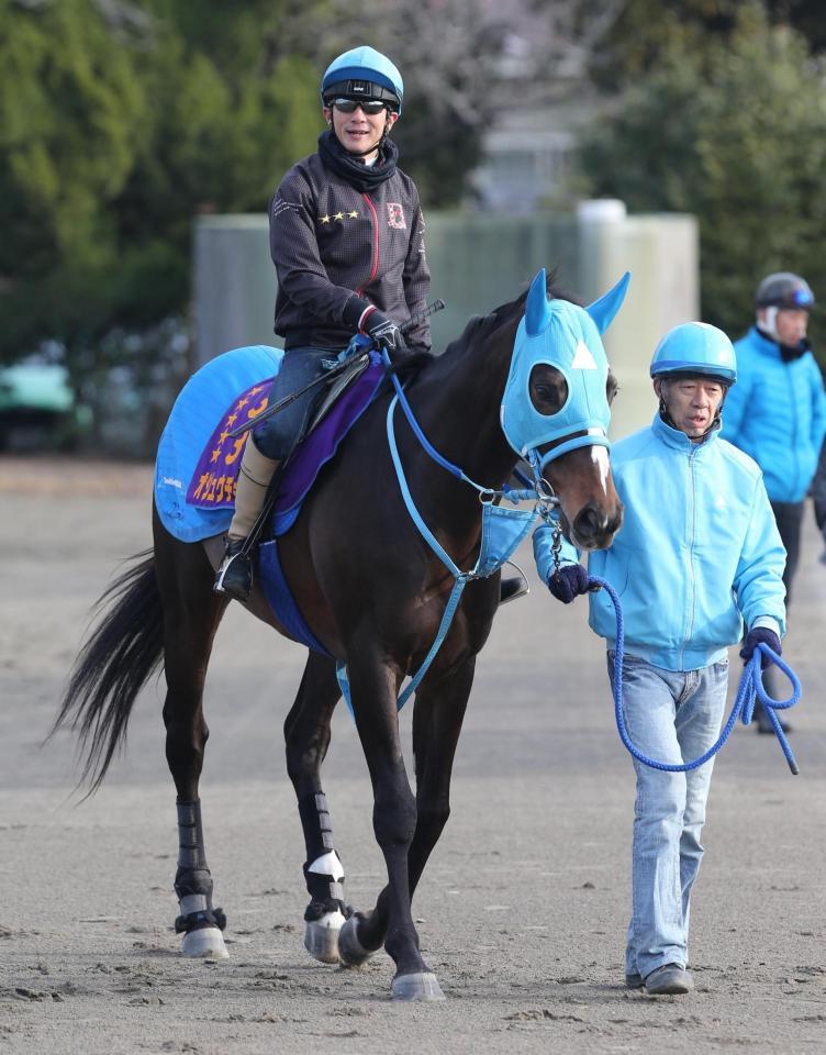 障害戦に復帰するオジュウチョウサン